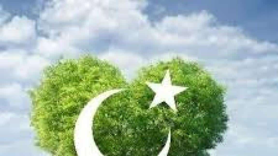 İlk Dersimiz;Yeşil Vatan